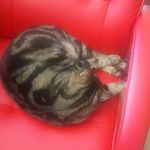 Brigizte Adam-Huth - @brigitte_adamhuth - Instagram
