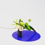 Design with Nature - @ada_ikenobo - Instagram