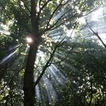 Adam Inman - @adam__inman - Instagram