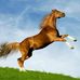 Iimaan Inman Adan - Facebook