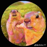 Adam jacobson - @adamjacobson233 - Instagram