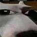 Adalberto Jefferson - Facebook