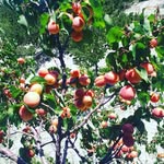 ada - @ada_kaplan_44 - Instagram