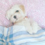 ada - @ada_kaplannn - Instagram