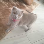 @ada_kaplan33 - Instagram