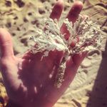 @adakleinfortuny - Instagram