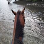 Ada Knight - @weird_child99 - Instagram