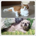 Ada  Kwok - @ada.kwok.984 - Instagram