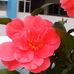 Ada Kwok - Facebook