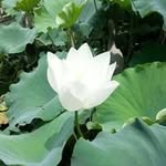 Ada Kwong - @ada__kwong - Instagram