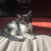Ada - @ada.g.lake - TikTok
