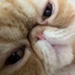 Ada Lam - @a.da.lam - Instagram
