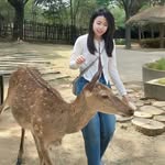 Ada  Lao - @ada.lpm - Instagram