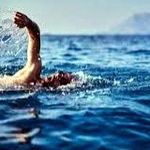 Adalara Yüzüyoruz Ayvalık - @adalarayuzuyoruz_ayvalik - Instagram
