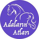Adaların Atları - @adalarin_atlari - Instagram