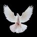 Ada Larson - Facebook