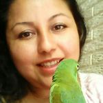Ada Lazo - @adalazo081adalazo - Instagram