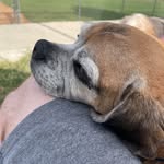 Adam Lechner - @adam.lechner.12 - Instagram