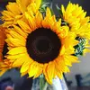 adalei_ - @adalei_ - TikTok