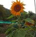 Ada Marini - Facebook