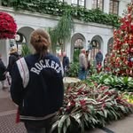 Ada - @ada.miller.7 - Instagram