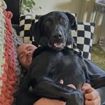 Adam Miller - @adamlmiller1 - Instagram