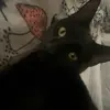 adalynn - @adalynnrmorris - TikTok