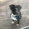 Ada olivas - @adaolivas27 - TikTok