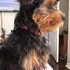 Ada Olivera1950 - @adaolivera1950 - TikTok