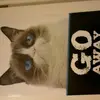 ada olsen - @ajo77727 - TikTok