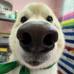ᴀᴅᴀ ᴏɴɢッ - @adaong_adaong - Instagram