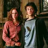 Adapotter - @sadece_ada_ - TikTok