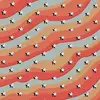 pinacolada.otterpops - @pinacolada.otterpops - TikTok