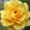 adaowen02 - @adaowen02 - TikTok