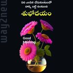 Bonju Naidu Adapa - @adapabonjunaidu - Instagram