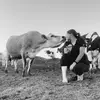 Ada.pacheco - @ada.pacheco18 - TikTok