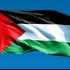 palestina🇵🇸 - @.ada.palestina - TikTok