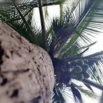 Ada Pardo - @adapardo40 - Instagram