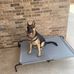Ada Parks - Facebook