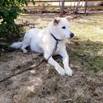 Ada Parsons - @ada.parsons.1297 - Instagram