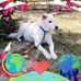 Ada Parsons - Facebook