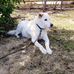 Ada Parsons - Facebook