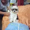 Ada Paz - @ada.paz5 - TikTok