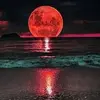 Adapazarı merkez - @adapazar.merkez - TikTok