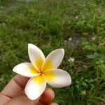 _ada - @ada_pemain - Instagram