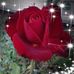 Ada Piro - Facebook