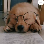 Ada Posadas Posadas - @ada_posadas - Instagram