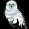 ada potter - @potter_head_me - TikTok