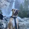 AdairPowers - @adairpowers - TikTok