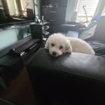Adam - @adam.purvis_ - Instagram